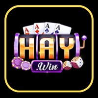 logo mlink haywin